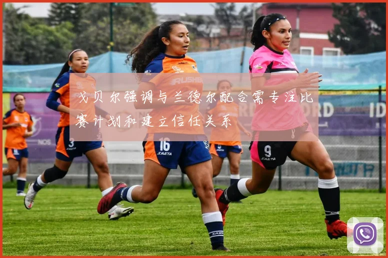 戈贝尔强调与兰德尔配合需专注比赛计划和建立信任关系