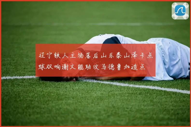 辽宁铁人主场落后山东泰山泽卡点球双响谢文能助攻马德鲁加造点